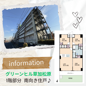 【内観写真公開】グリーンヒル草加松原1階部分