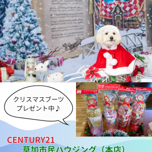 クリスマスも営業いたします！