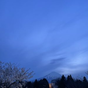 「富士山と桜」